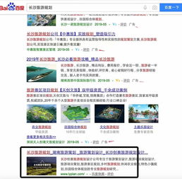 深圳富海360總部旅游開發(fā)項(xiàng)目策劃咨詢 搜索引擎與網(wǎng)絡(luò)營銷案例解析